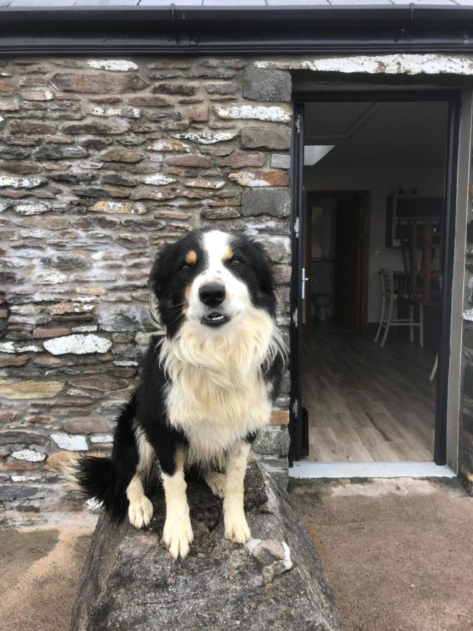 Old Irish Farmhouse ดิงเกิล ภายนอก รูปภาพ