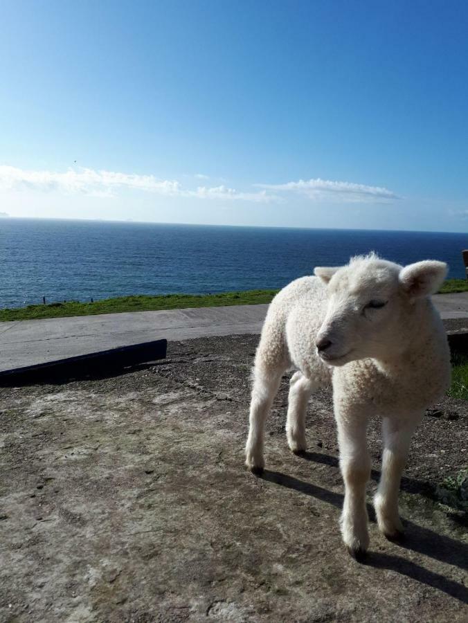 Old Irish Farmhouse ดิงเกิล ภายนอก รูปภาพ